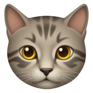 gato enojado sticker