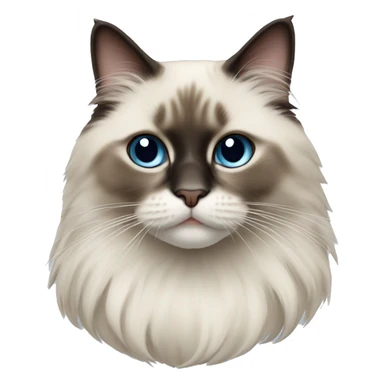 A ragdoll cat  sticker