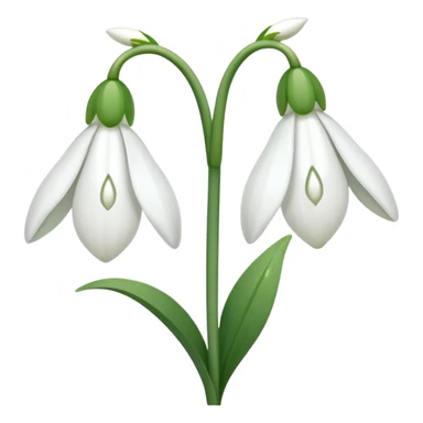 snowdrop flower sticker