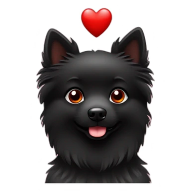 Little black spitz with red heart sticker