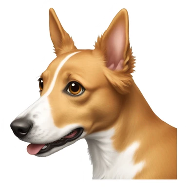 Portuguese podengo sticker