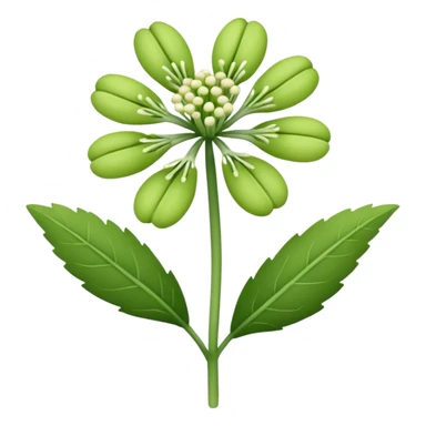 Galbanum flower sticker