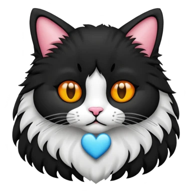 een zwarte kat met een hartje sticker