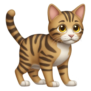 Tabby Cat Full Body sticker