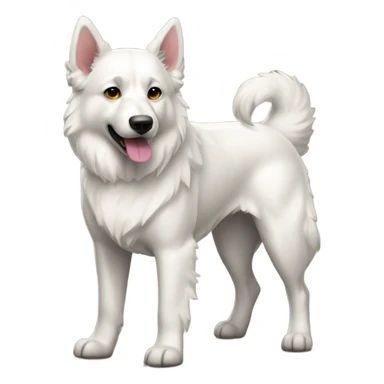 Berger blanc suiss sticker