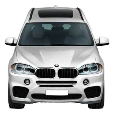 BMW x5 sticker