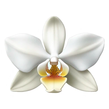 White orchid flower sticker