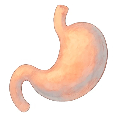 ghibli style stomach with soft colors sticker