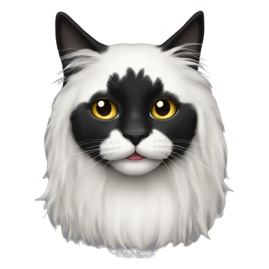 black cat long haired with muzzle half white sticker