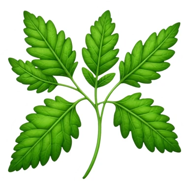 verbena leaf sticker