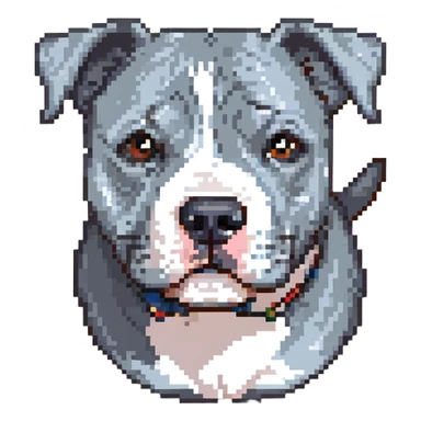 round circle puppy head full grey bleu staffy, stupid expression sticker