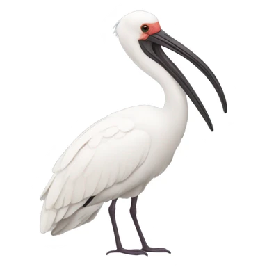 ibis sticker