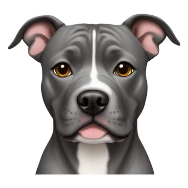 grey staffordshire bull terrier, without white sticker