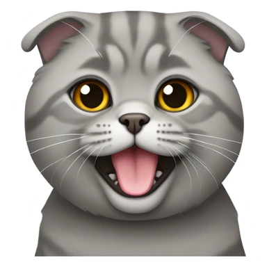 Gray Scottish fold cat  sticker