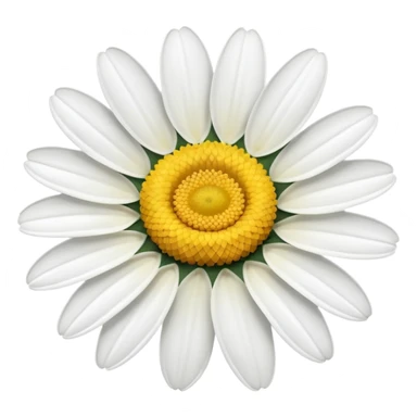 One daisy flower sticker