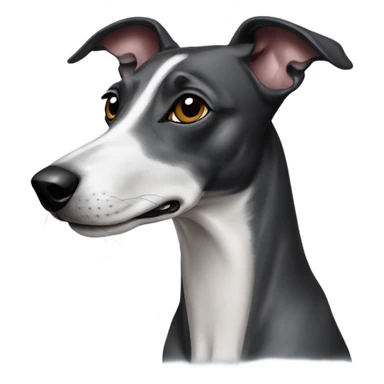 Black whippet sticker