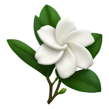 Gardenia sticker