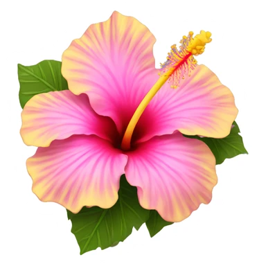 yellow and pink hibiscus flower sticker