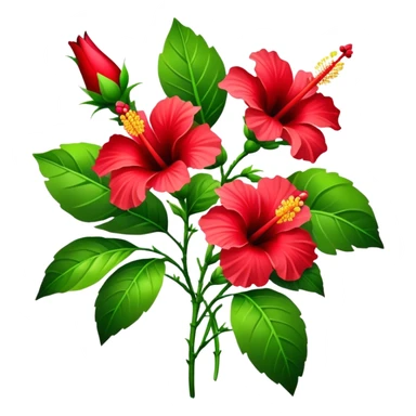 bouquet red Hawaiian hibiscus, luxuriant, stem, leaf, bud sticker