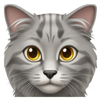 grey main coon cat sticker