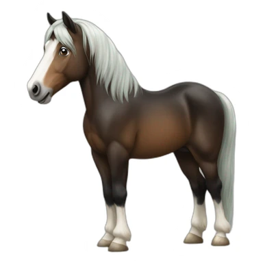 Irish cob horse sticker