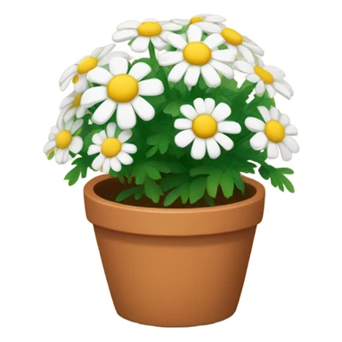 chamomile in terracotta pot sticker