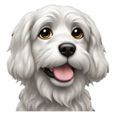 Havaneser dog black sticker
