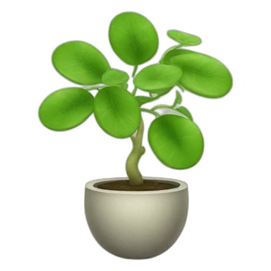 chinese money plant sticker