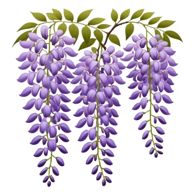 Japanese style wisteria (fuji) flower in elegant ukiyo-e inspired design, cascading purple blooms hanging like in traditional Japanese gardens, with gentle curved lines sticker