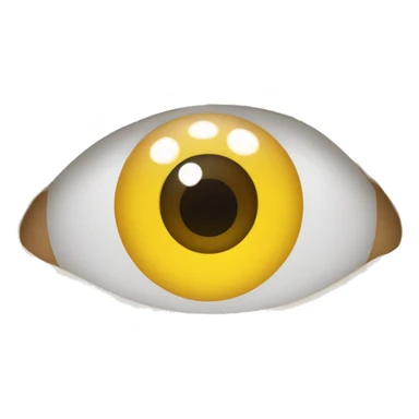 case for clear contact lens sticker