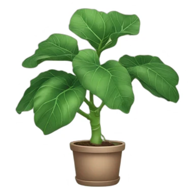 fiddle leaf fig sticker