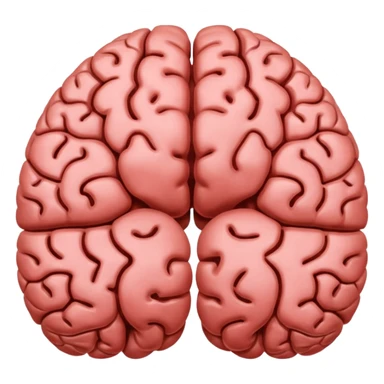 left and right hemispheres of brain sticker