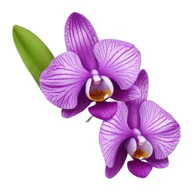 Orchidee sticker