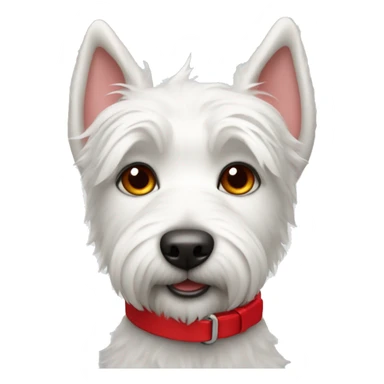 White terrier with a red collar sticker