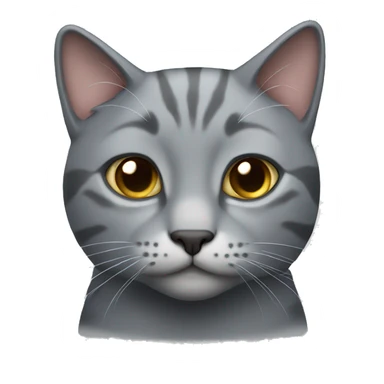 Grey cat with a cute face sticker
