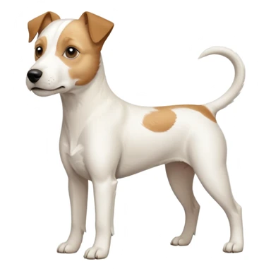 a full body buff white parson russell terrier looking dog the size of a kelpie with light brown long ears and a light brown patch on one eye and a large snout. the rest of the dog is completely white. forward facing sticker