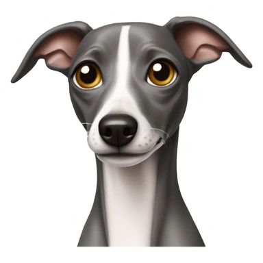Italian greyhound sticker