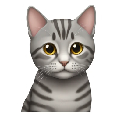 cute grey short haired tabby cat  sticker