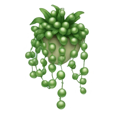 string of pearls plant sticker