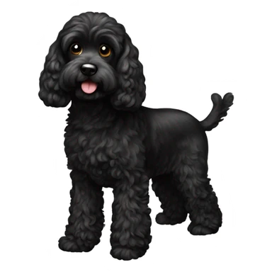 black cockapoo  sticker