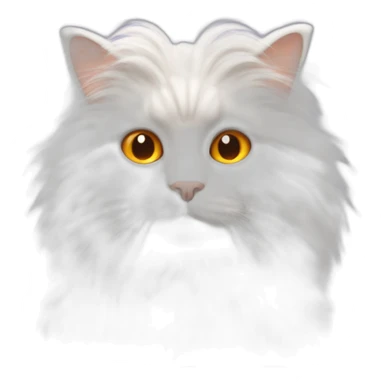 angora cat with orange car sticker