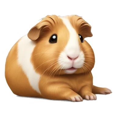 Guineapig laying down very cute but realistic sticker