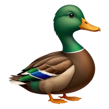 Mallard duck quacking sticker