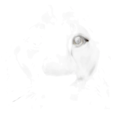 lion with hazel eyes sticker