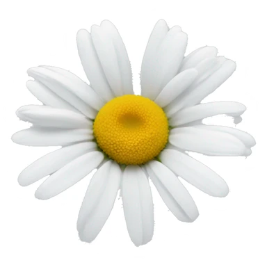 White daisy sticker