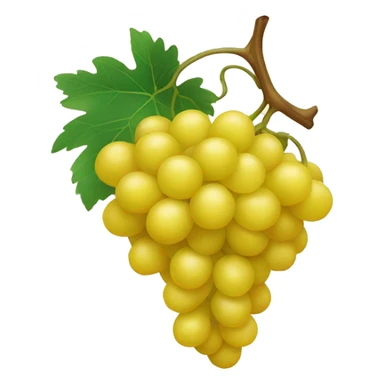 Yellow color Grapes sticker