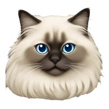 Sleeping himalayan ragdoll cat with full dark face and dark feet sticker