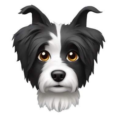 Shaggy black and white small dog with pointed ears  sticker
