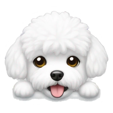 bichon frise in a bathtub sticker