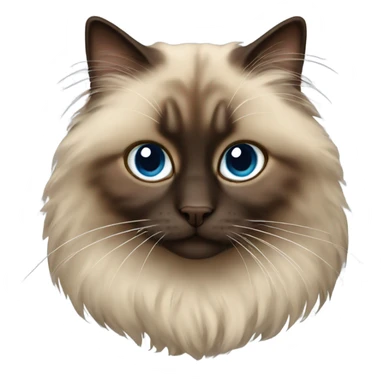 brown ragdoll cat sticker